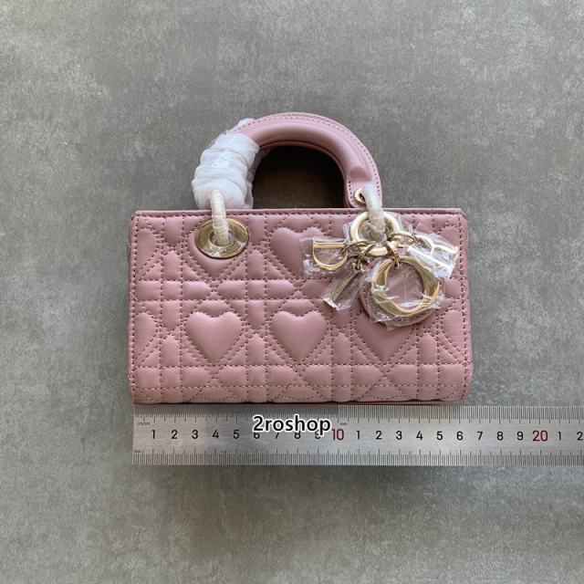 디올레이디조이백