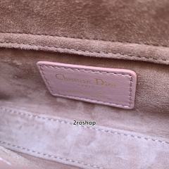 디올레이디조이백