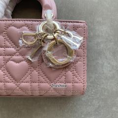 디올레이디조이백