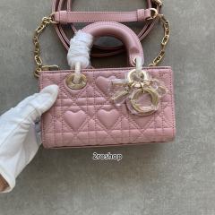 디올레이디조이백