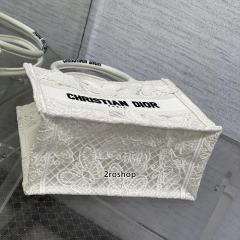 디올북토트백스몰