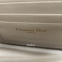 디올레이디백미스디올미니베이지