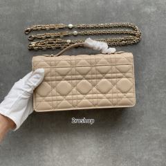 디올레이디백미스디올미니베이지