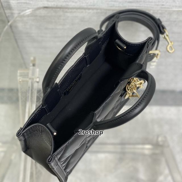 디올북토트스트랩백미니블랙