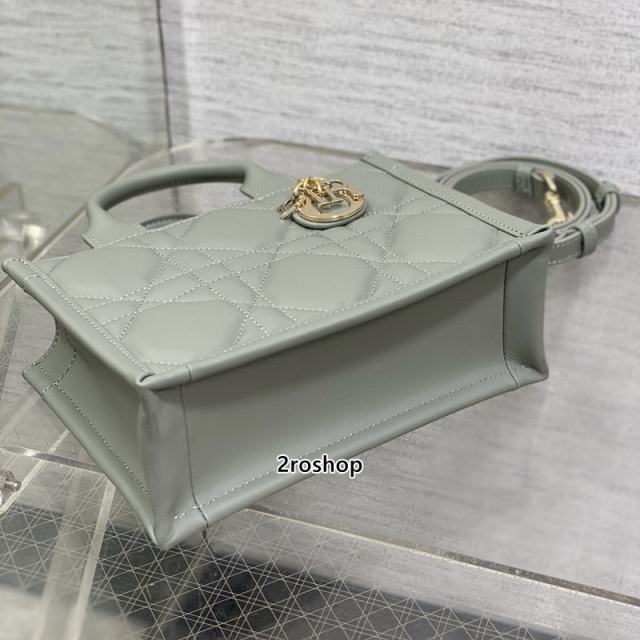 디올북토트스트랩백미니그레이
