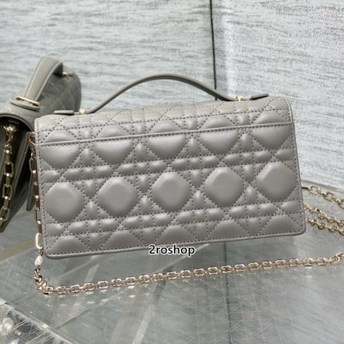 디올레이디백미스디올미니