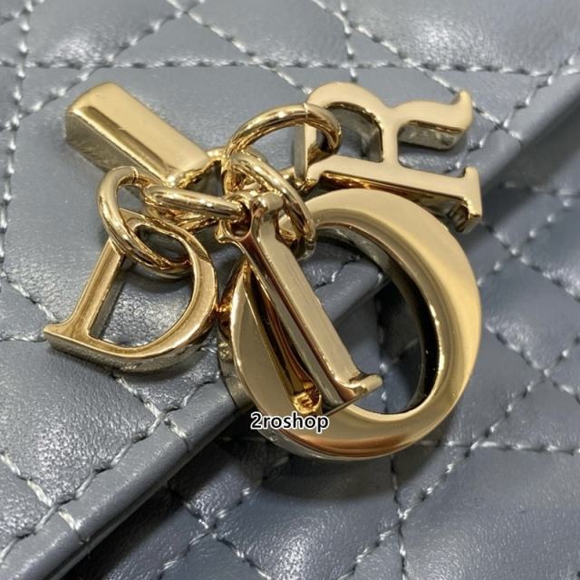 디올레이디백미스디올미니블루