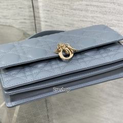 디올레이디백미스디올미니블루