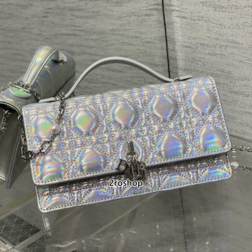 디올레이디백미스디올미니