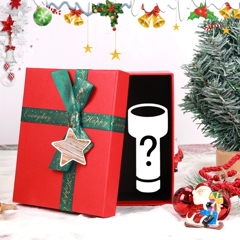 Limited Christmas mystery box