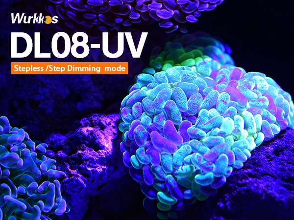 【New Release】Wurkkos DL08 3600lm Rechargeable Diving Light, 21700 Powerful Flashlight, with Rotary Magnetic Switch 6500K Underwater Torch IP68