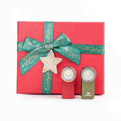 Red & Green Gift Box Card Combo