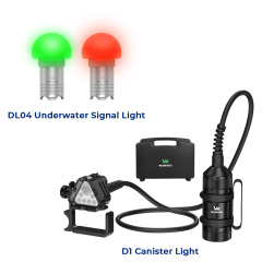 D1 + 2* DL04 (Signal Light Kit)