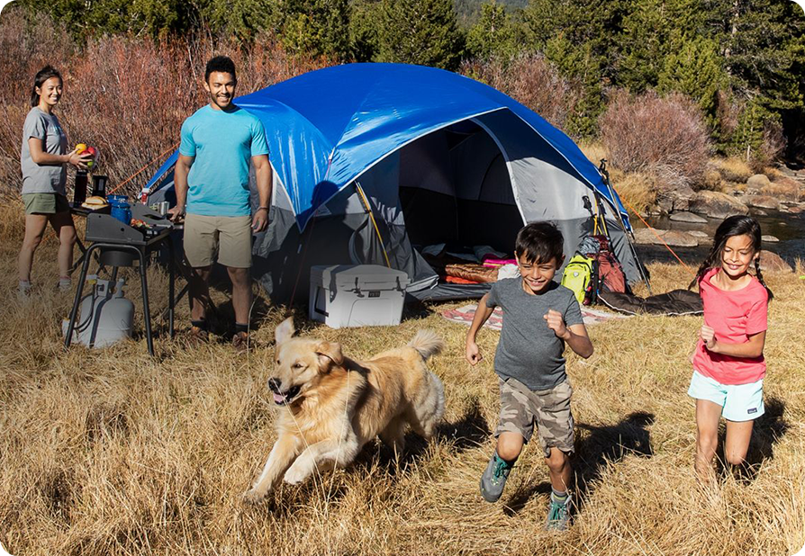 Company Introduction