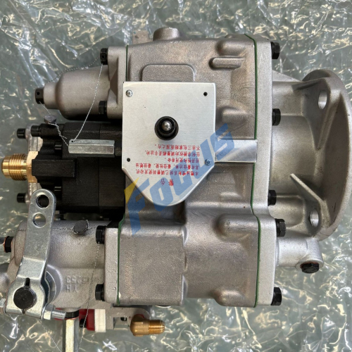 Shantui SD22 Parts Fuel Pump 4951501