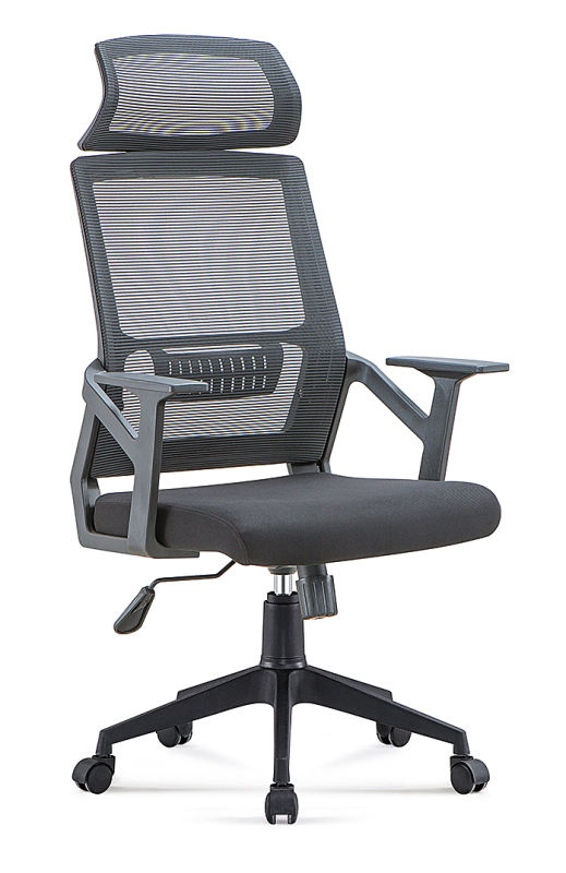 MS638