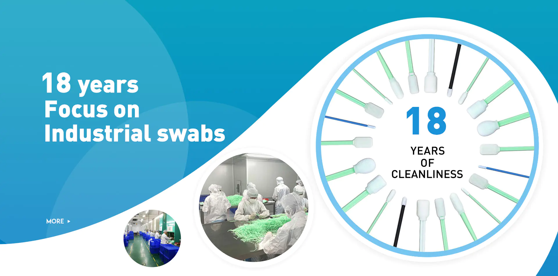 Cleanroom Swab