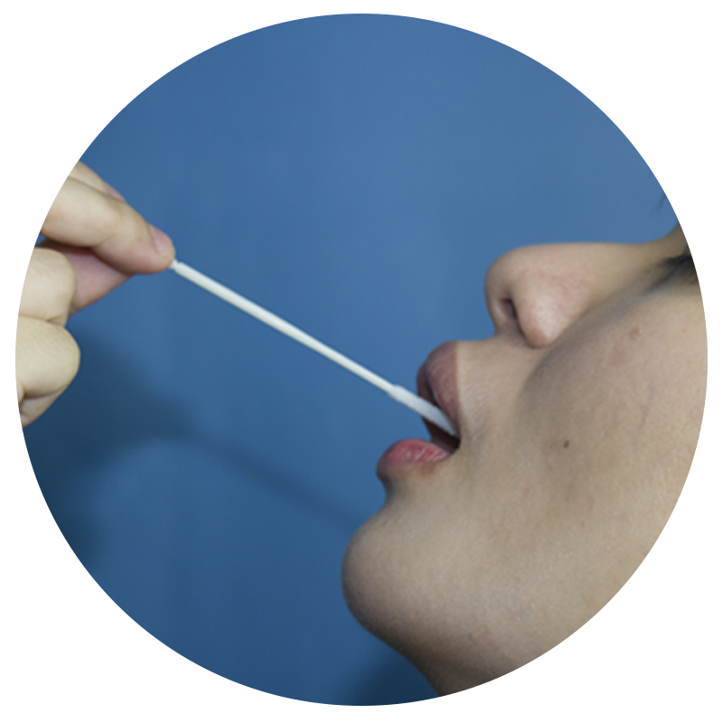 Disposable male female transport flocked specimen collection sampling nasal nasopharyngeal oral test sterile medical swab stick