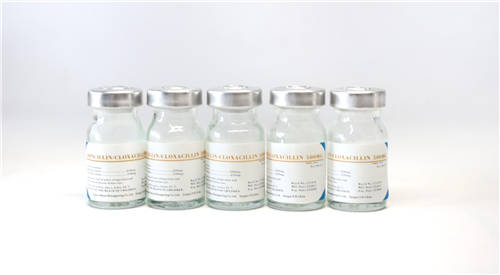 Ampicillin Cloxacillin powder for injection