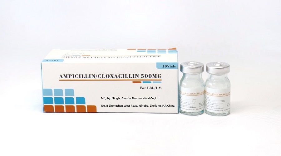 Ampicillin Cloxacillin powder for injection