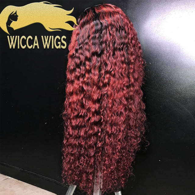 Wiccawigs Customized Ombre Colorful Lace Front Wigs Brazilian Remy 100% Human Hair Wigs With Baby Hair Pre Plucked Hairline