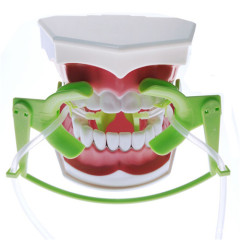 Dental Oral Dry Field System Nola Retractor Lip Cheek Retractor & Suction System