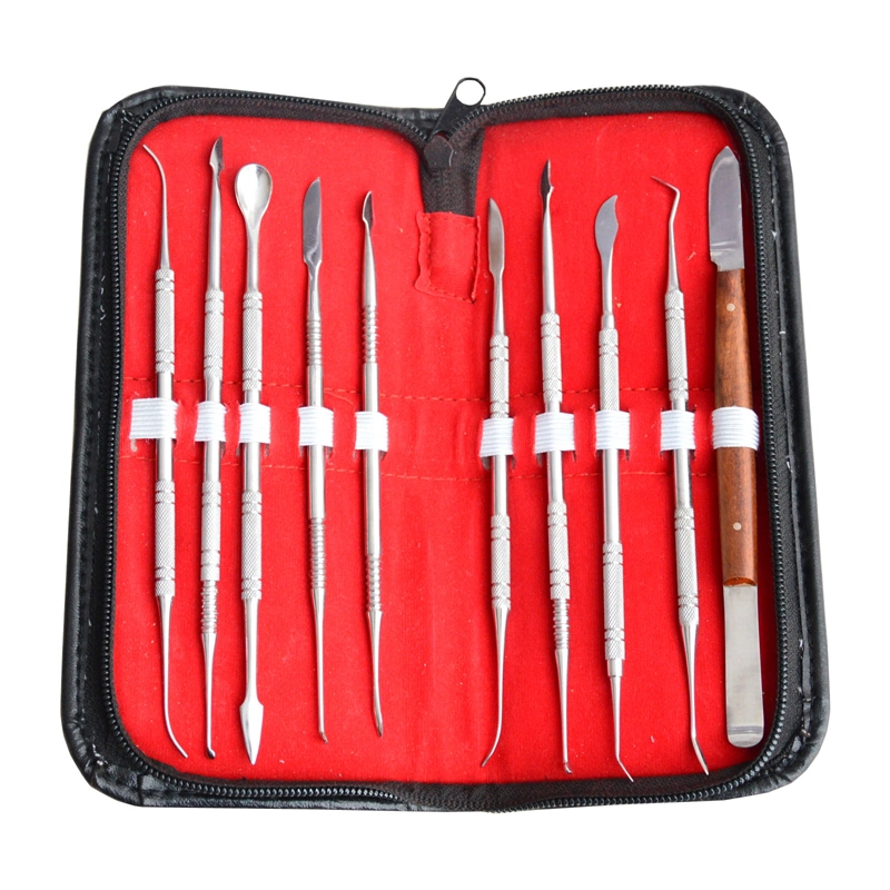 **Professional 10 pcs/Set Dental Lab Wax carving Tools Knife Set Surgical Instrume