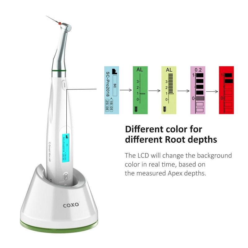 **COXO C-Smart-Mini AP Dental Endodontic Treatment Endo Motor & Apex locator