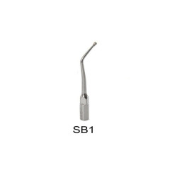 `Dental Ultrasonic Scaler Endo Perio Tip SB1
