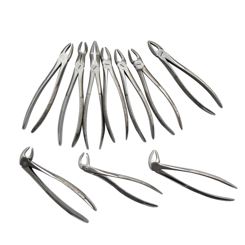 10 pcs/Set Dental Forcep Tooth Extraction Set Adult Teeth Extracting
