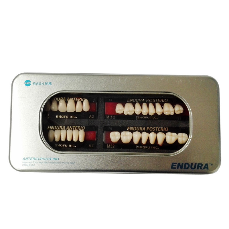 **SHOFU ENDURA Dental Denture False Teeth Resin A2 M30 M32 Plastic