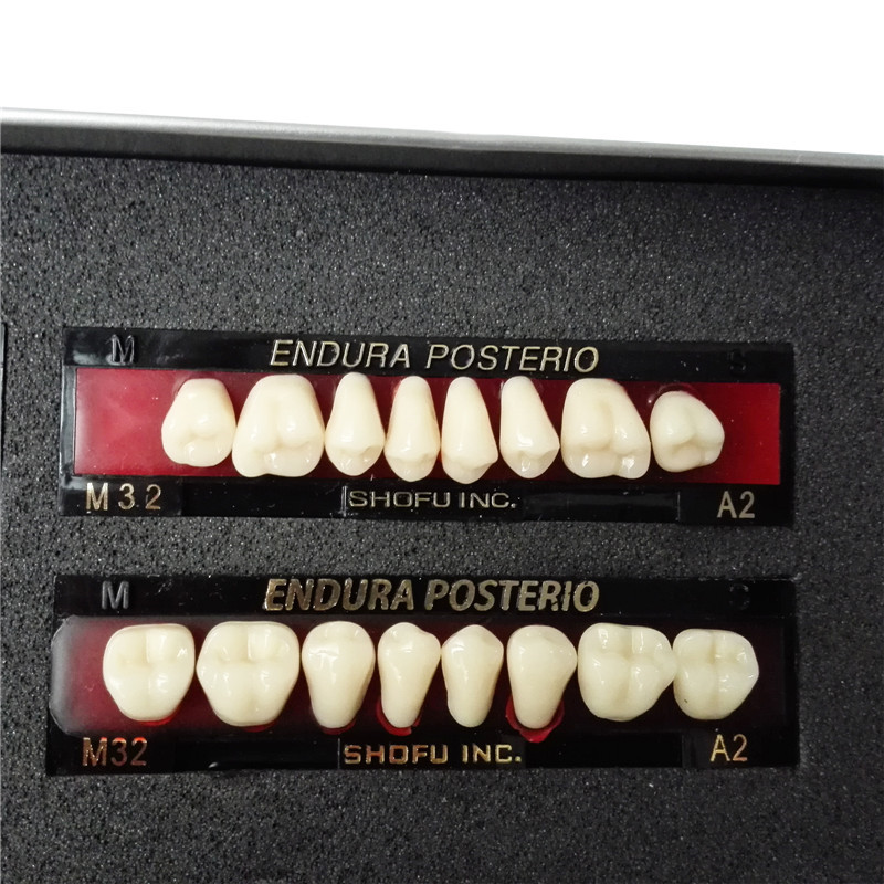 **SHOFU ENDURA Dental Denture False Teeth Resin A2 M30 M32 Plastic
