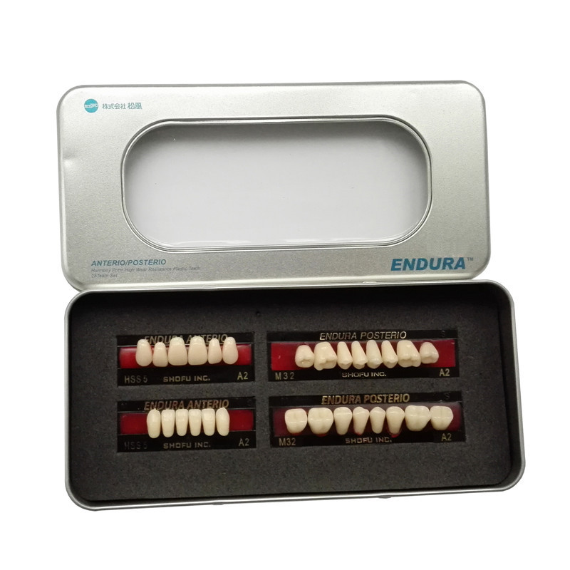 **SHOFU ENDURA Dental Denture False Teeth Resin A2 M30 M32 Plastic