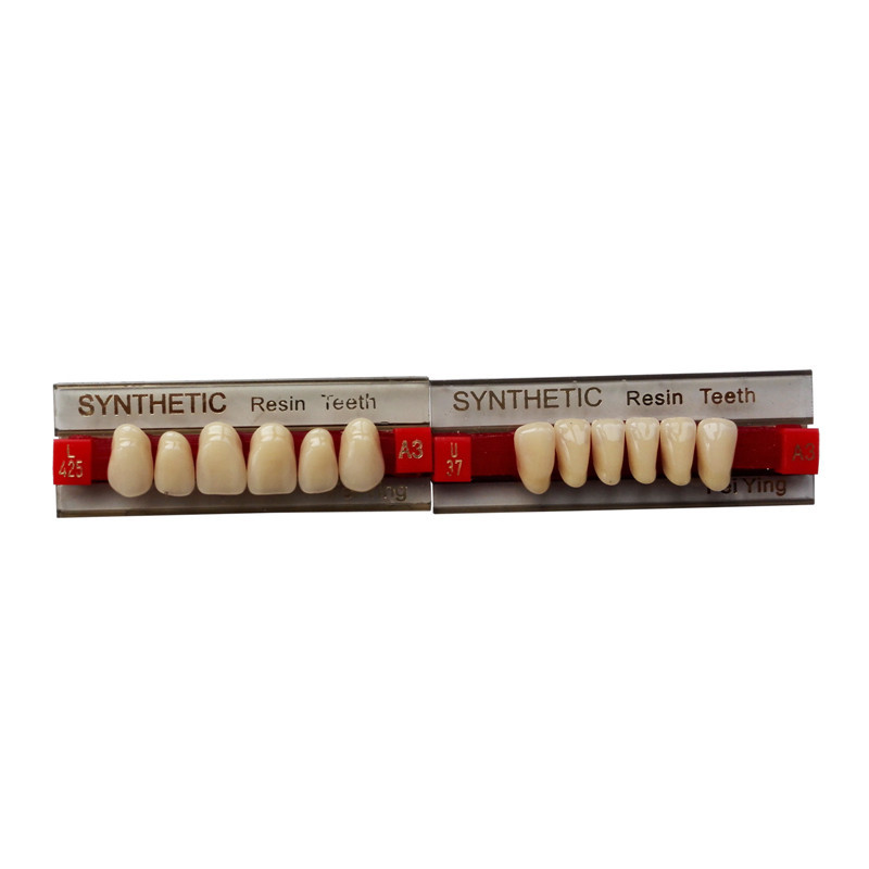 **Acrylic Resin Denture Teeth Color A2 A3 Upper Lower Shade Dental