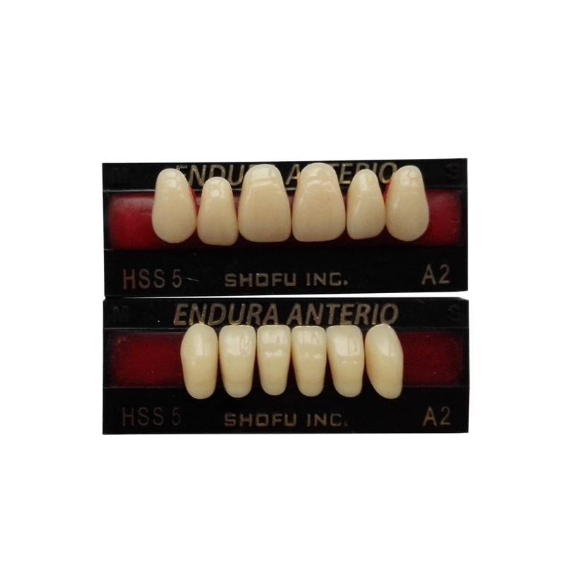 **SHOFU ENDURA Dental Denture False Teeth Resin A2 M30 M32 Plastic