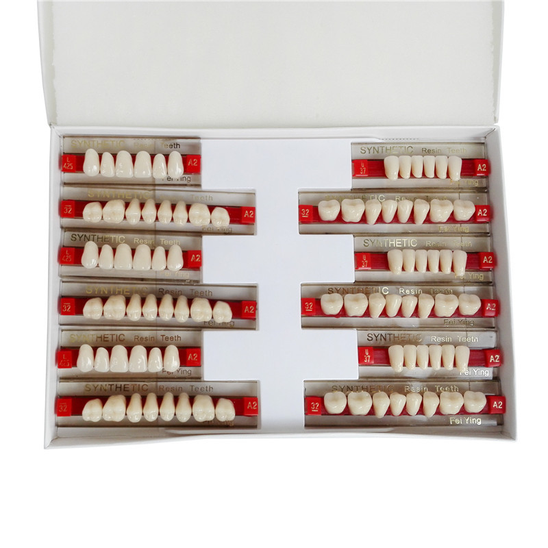 **Acrylic Resin Denture Teeth Color A2 A3 Upper Lower Shade Dental