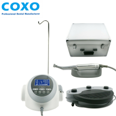 **COXO C-Sailor Dental Implant System Machine Surgery Brushless Motor