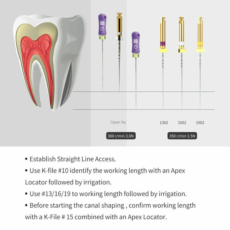 `Dental Endo Rotary NITI File X-PATH Treatment Engine Root Canal