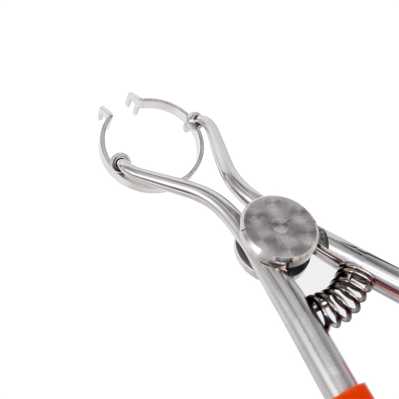 Dental Forceps Matrices Plier Holder Wedge Sectional Contoured Metal Matrix Clip