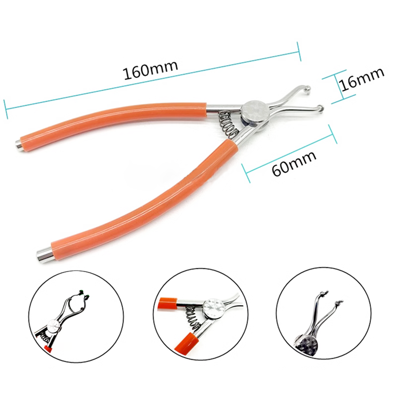 Dental Forceps Matrices Plier Holder Wedge Sectional Contoured Metal Matrix Clip