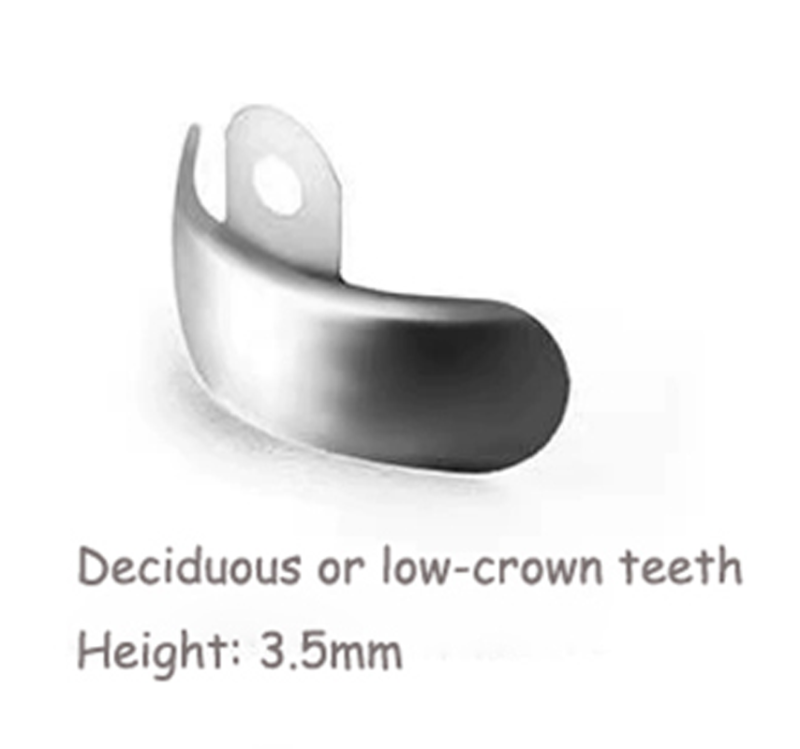 `MacDent Dental Sectional Contoured Metal Matrice Matrix Refill Medium Ledge 50μm fit Dentsply Palodent V3