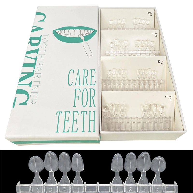 Résine Composite Dentaire & Moule Pour Facettes Dentaires Antérieures - Durcissement Lumière - USA