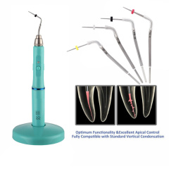 Dental Cordless Wireless Gutta Percha Tip Heated Plugger Needle Obturation System Endo Heated Pen + 2 Tips