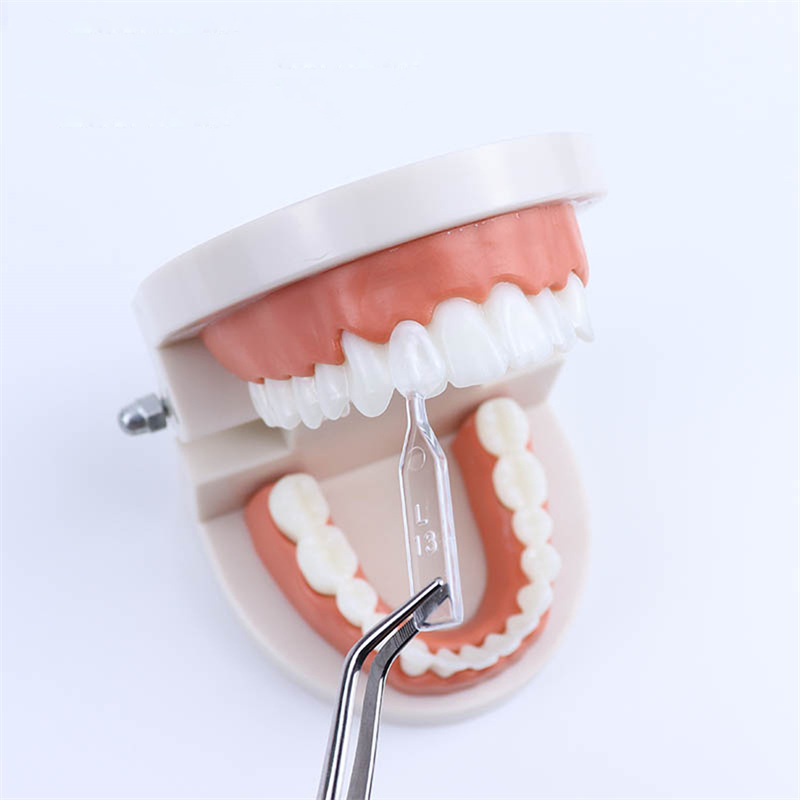 Dental Composite Resin Veneers Mould Light Cure Anterior Front Teeth
