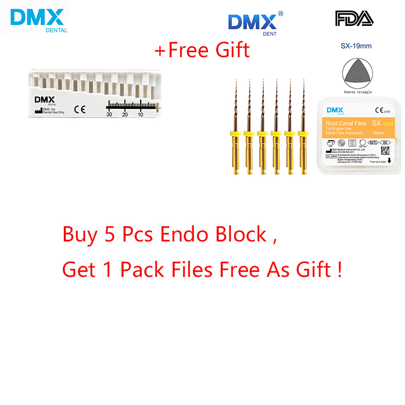 DMXDENT Dental Endo Block Measure Mini Ruler Endodontic Files Holder + Free Gift