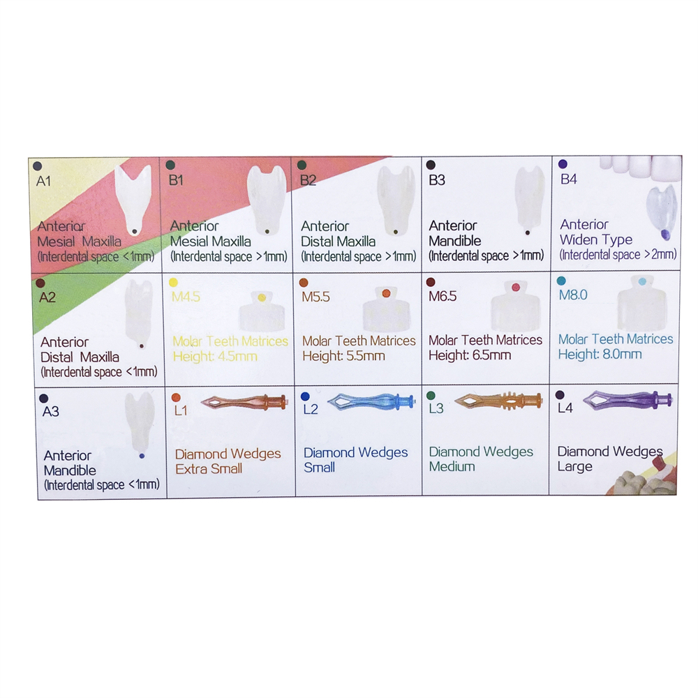 Dental Clear Matrix Tranparent Matrices Posterior Anterior Teeth Fit BioClear