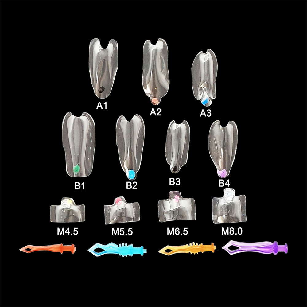 Dental Clear Matrix Tranparent Matrices Posterior Anterior Teeth Fit BioClear