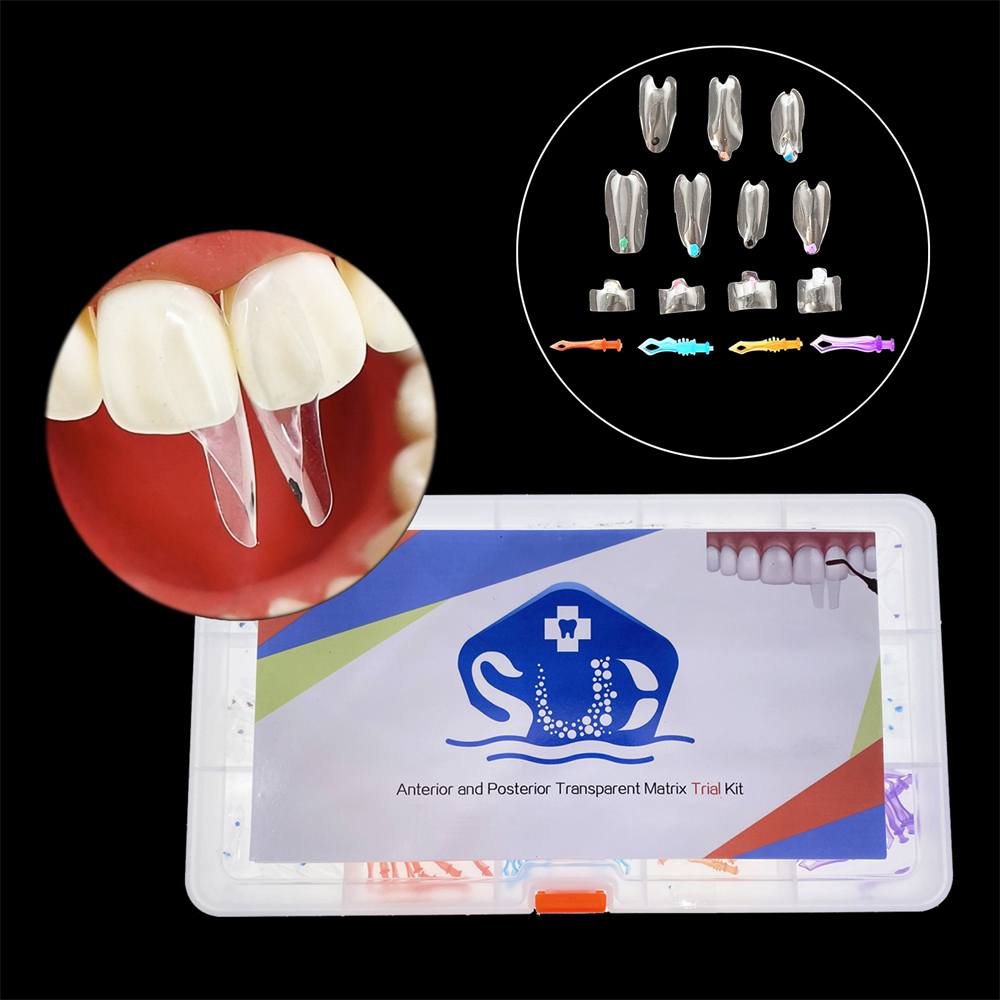 Dental Clear Matrix Tranparent Matrices Posterior Anterior Teeth Fit BioClear