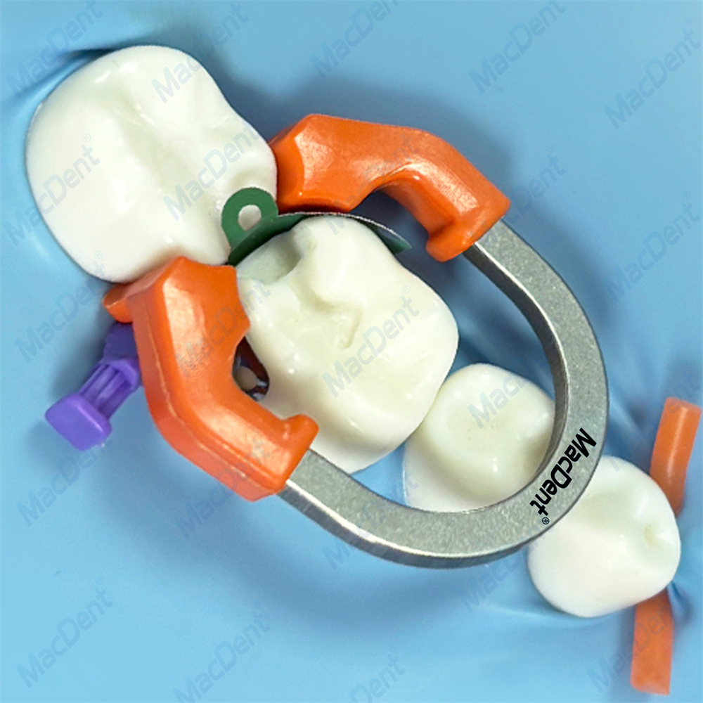 Dental Matrix Band Sectional Contoured Matrix System D3 Metal Matrices Band Kit