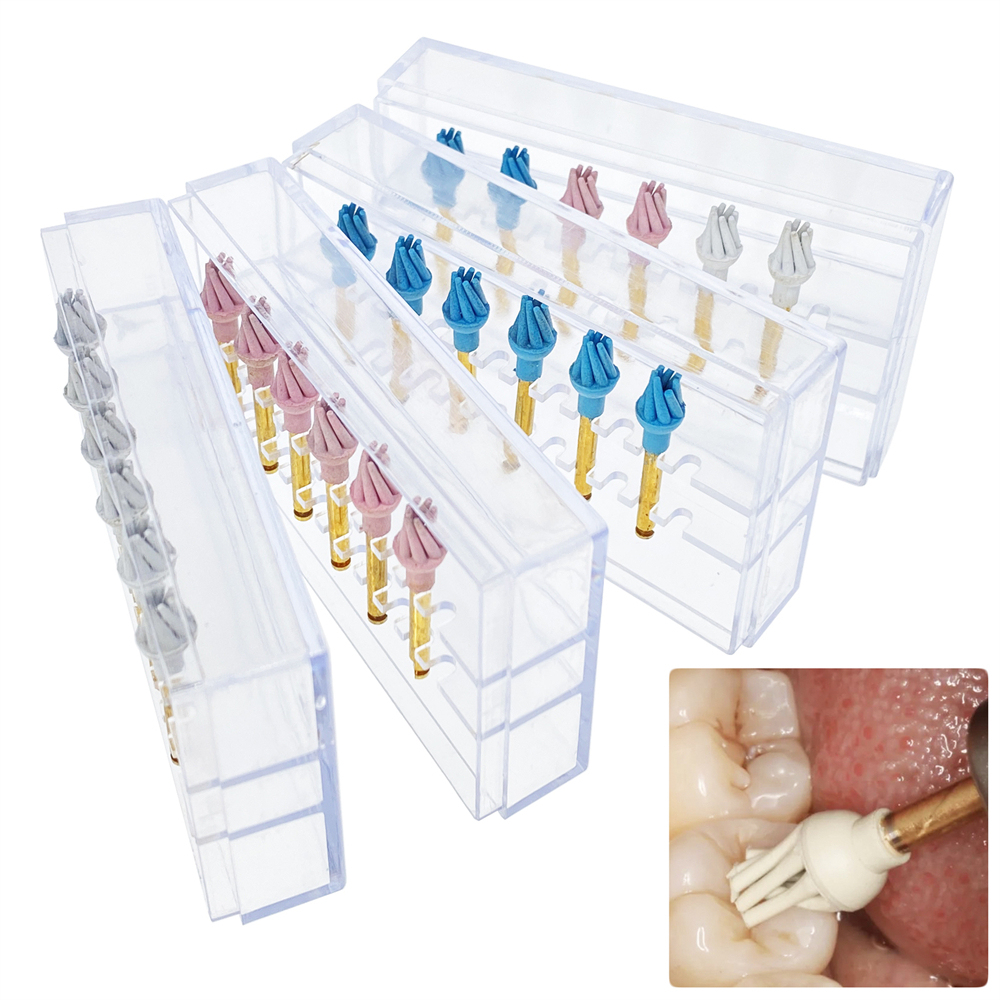 6Pcs/Box Dental Resin Polish Eagle Claw Wheel Brush For Posterior Teeth